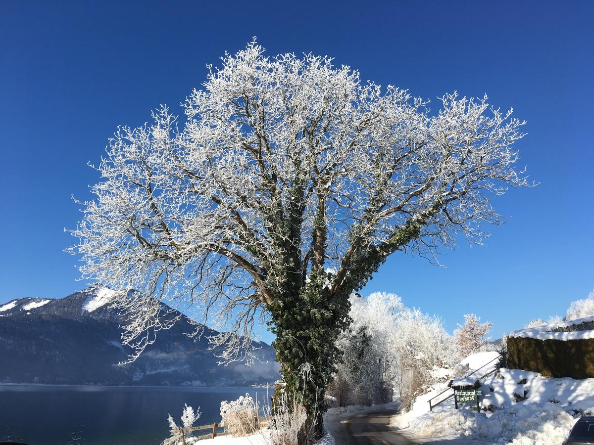 Hotel Seehang Garni Sankt Wolfgang im Salzkammergut ภายนอก รูปภาพ